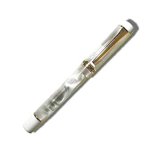 Stylo à plume jetable anti-bavure écriture lisse séchage rapide
