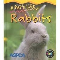 Hardcover Rabbits Book