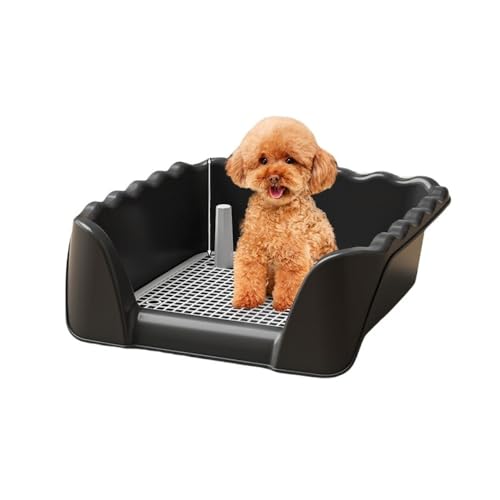 YAKINO ^A^A^p̓匢pgCBr𓥂܂Ȃ悤ɃObhtĂA̔A|bg̔юUhtFXtĂ܂ (ubN,卆)