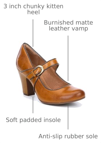 Image of SHODENSE Women Vintage Chunky High Heel Mary Jane Shoes Round Closed Toe Ankle Strap Dress Sandals 3 inch Block Heels Mary Jane Lolita Pumps Two-Toned Patchwork Buckle Office Lady Wedding Retro 4-11 M US