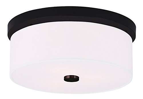 Black Friday ๐ฅ Livex Lighting 50863-07 Meridian 2-Light Ceiling Mount, Bronze Black Friday ๐ฅ Livex Lighting 50863-07 Meridian 2-Light Ceiling Mount, Bronze