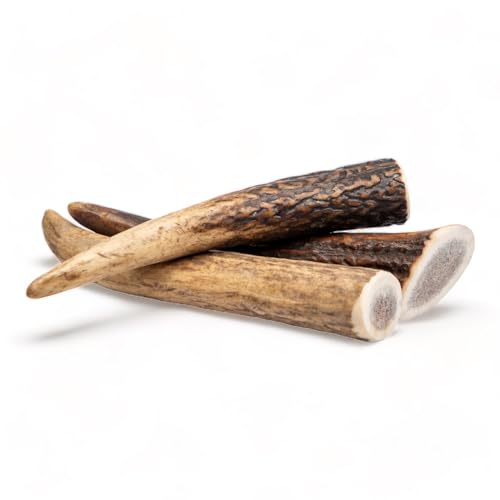 Dilecti Corno di Cervo per Cani - Osso di Cervo da Masticare, Snack Naturale e Gioco Masticativo di Lunga Durata per l'Igiene Dentale del Cane - Interi S (3 Pezzi)