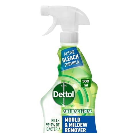 Dettol Mould & Mildew Remover 500ml Cover