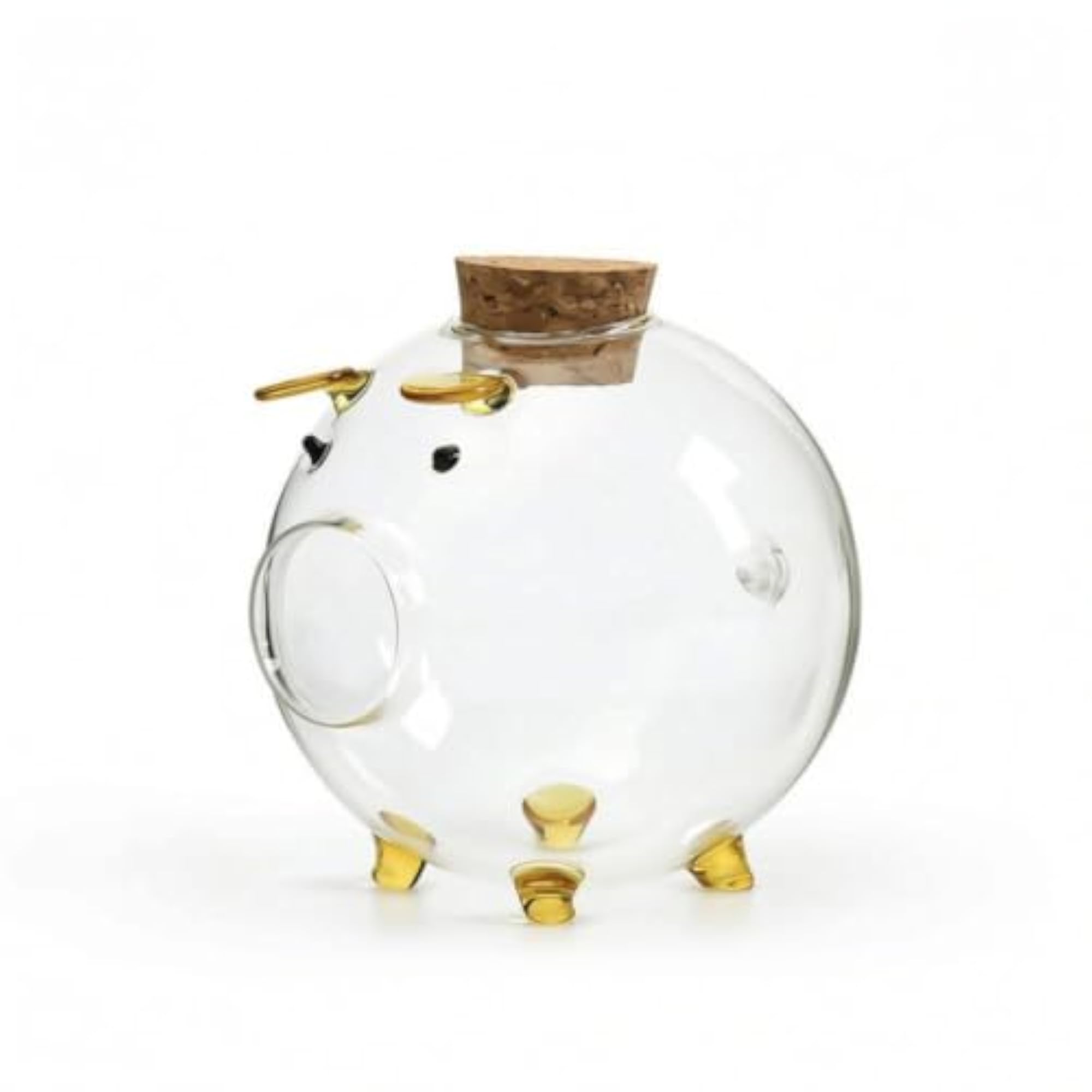Transparent Glass Piggy Bank