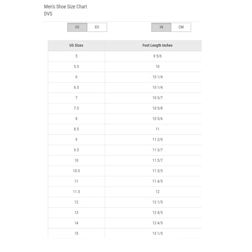 DVS Men's Honcho Skate Shoe2