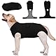 Kuoser Hundebody nach OP XL OP-Body für Rüde & Hündin, Schutzanzug nach Kastration, Anti-Leck Body für Hunde, Alternative zum Halskragen, Schwarz