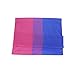Flaglink Bisexual Pride Flag 3x5Fts - Bi Rainbow Banner
