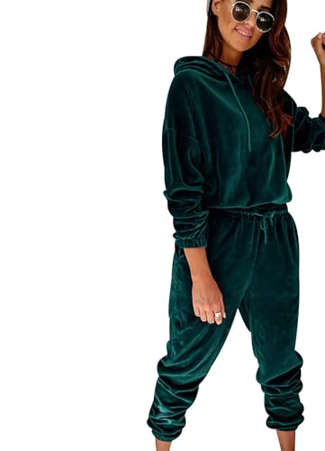 Conjunto de chándal de terciopelo para mujer, conjunto de ropa de descanso para mujer, conjunto de ropa de descanso para mujer, holgado, liso, con capucha, conjunto de chándal de terciopelo para
