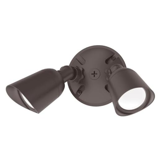 WAC Lighting, Endurance Double Spot Energy Star 30W LED Spot Light 3000K in Bronze