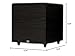 Acoustic Audio PSW-12 500 Watt 12-Inch Down Firing Powered Subwoofer (Black)