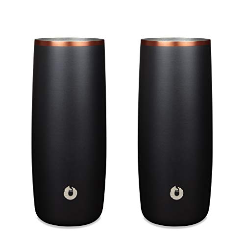 SNOWFOX Premium Vacuum Insulated Stainless Steel Cocktail Glass/Drink Tumbler, Set of 2, Drinks Stay Icy Cold, Thermal Highball Glasses, Elegant Home Entertaining, Classic Barware, 14.5 oz, Black/Gold