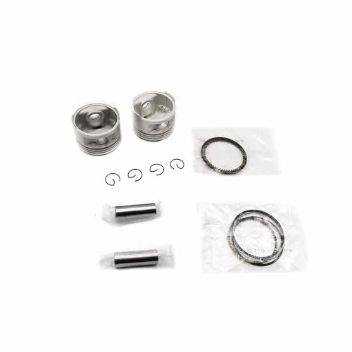 Kit cylindre 49mm et piston pour moteurs XV250 V 250