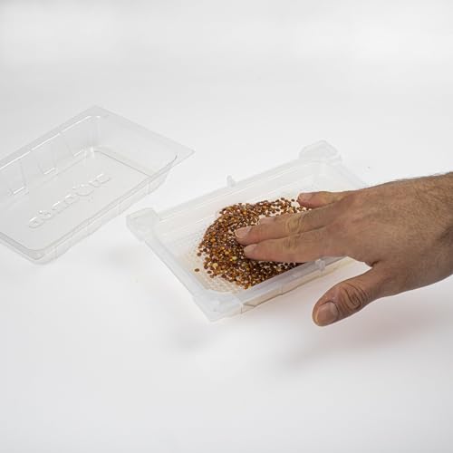 Foto von BROWIN® Keimsprossenbox zur Anzucht von Keimsprossen 745748 | Sprossenhaus mit Deckel und Keimschalen | Keimgerät für Kresse Samen, Alfalfa Sprossen, Rucola Samen | inkl Rettichsamen