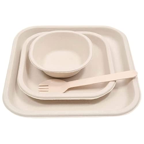 Buy SAMPIGE ENT., Sugarcane Bagasse Disposable Plates Set (200 Pieces