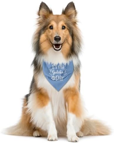 It's My Gotcha Day Dog Bandana - Blue Triangle Scarf for Dogs