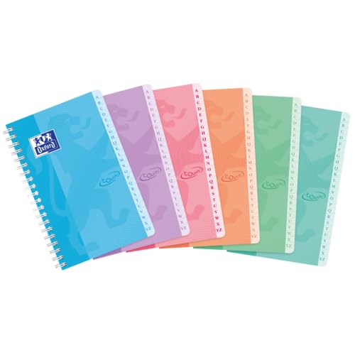 Lot de 10 Répertoire Touch piqué 11x17, 100p./50 feuilles 90g/m², quadrillé 5x5, coloris assortis (6)