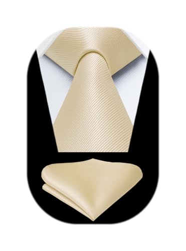 Image of HISDERN Mens Ties Solid Color Ties for Men Formal Necktie with Pocket Square Set Satin Silk Neck Tie Handkerchiefs Set