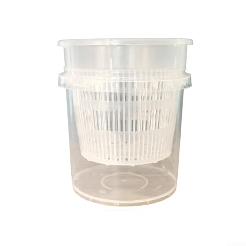 Macetas transparentes para orquídeas con sistema de autorriego, maceta pequeña de plástico para orquídeas (2)