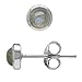 Silvershake 4mm Petite Round Shape Labradorite White Gold Plated 925 Sterling Silver Stud Earrings