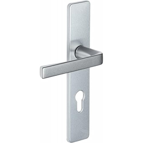 Poignée de porte Vachette Kaza avec plaque de condamnation 195mm