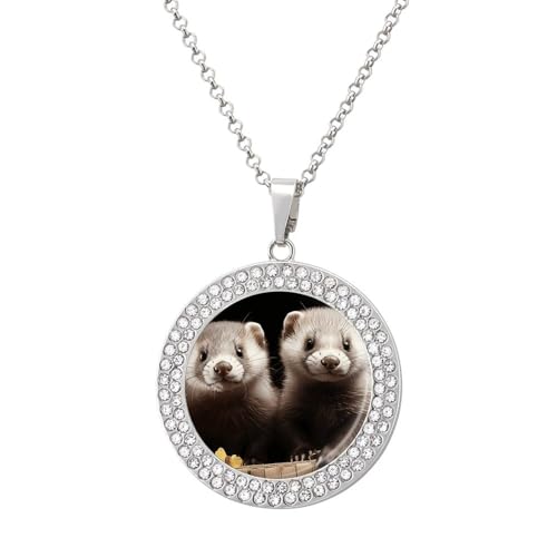 STVNKML Collar de hurones para mujer, con colgante circular, collar de joyería con dije de disco de diamante para aniversario, día de San Valentín, regalo de Navidad para mamá y esposa, One size, Zinc STVNKML Collar de hurones para mujer, con colgante circular, collar de joyería con dije de disco de diamante para aniversario, día de San Valentín, regalo de Navidad para mamá y esposa, One size, Zinc