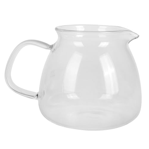 PHENOFICE Clear Glass Coffee Decanter Manual Pour Coffee Pot for Cold Brew Tea Capacity for Family Sharing Observing Brewing Process