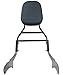 YHMOTO Passenger Backrest Sissy Bar with Luggage Rack for Kawasaki Vulcan 900 VN900 Classic Custom 1996-2023 (New Style-Black)