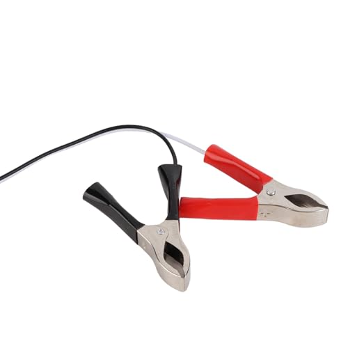 Acouto Caricabatterie da Pannello Solare da 600 W Regolatore di Carica in Silicio Monocristallino 100A Kit Pannello Solare con Cavo di Prolunga Clamp/Holder per Batteria per Efficienza da Campeggio