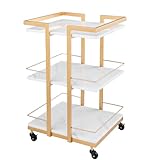 Esthetician Cart with...image