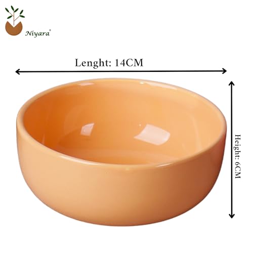 Image of Niyara Ceramic Printed Bowl Set of 2 | Premium Serving Bowls for Snacks, Soup & Desserts | Microwave & Dishwasher Safe (Colourful Bowl)