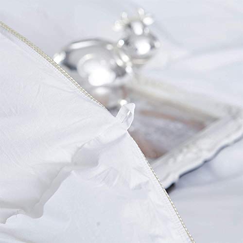 Premium All-Season Queen Size Luxury Siberian Goose Down Comforter Duvet Insert 1200 Thread Count 100% Egyptian Cotton Down Feather Comforter (Queen, White Solid) #TOP6