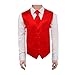 DGDE.03 Various Kid Solid Vest Microfiber Tie Set for Age 6-16 By Dan Smith