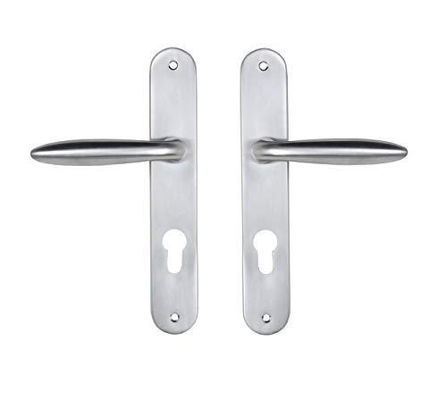 Bricard 984051 Ensemble poignées zamak sur Plaque Esquisse pour Porte d'Entrée (pour Cylindre européen), Argent