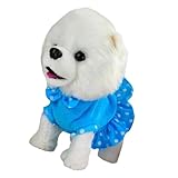 Pour chien pour enfants - électrique pour chiot, doté d'une fonction lumière et musique, simple, sûr à jouer, bon cadeau pour vos enfants, pour chien pour tout-petits