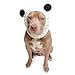 Zoo Snoods Panda Bear Dog Costume - Neck and Ear Warmer Snood for Pets (Large)
