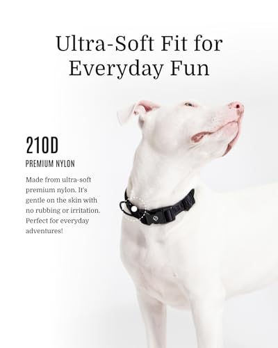 Collier classique pour chien Fei & Eve noir en nylon S réglable - 3