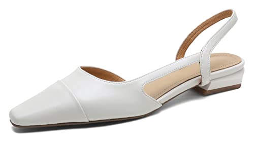 [CHICULL] `J fB[X obNXgbv pvX v Zp[gpvX T_ tbgq[ V[Y ؂񂱌C r vC XNGAgD U[ {v JWA tH[} l t wlC x[W 24.0 cm