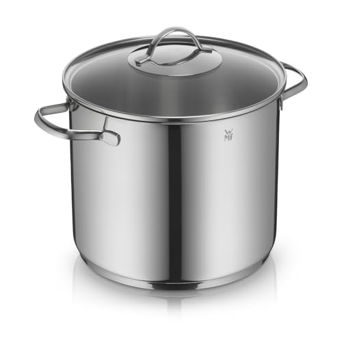 WMF Provence Plus Suppentopf 24 cm, 8,8 l – großer Kochtopf für Induktion aus Cromargan Edelstahl poliert mit Glasdeckel, unbeschichtet, backofengeeignet, rostfrei, spülmaschinenfest und langlebig