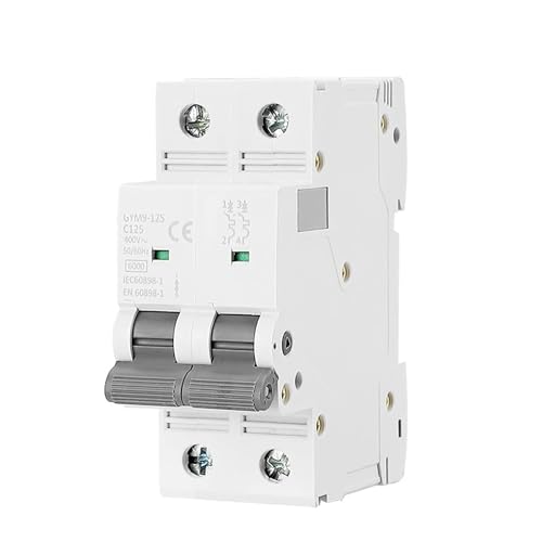 Disjoncteur double phase GYM9 100A compacité 35,6 mm courbe C 2P - 2