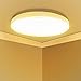 Aigostar Plafoniera LED Soffitto 20W Lampada LED Soffitto 1400lm Luce Bianca Calda 3000K Plafoniera LED Adatto Per Soggiorno Camera da Letto Cucina Corridoio Balcone Ø33cm