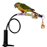 GjnjfdF Perchoir Oiseau,avec Clochette gamelle Jouets à Clipser | Support Oiseaux Accessoi...