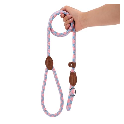 Laisse pour chien tressée d'une robustesse exceptionnelle taille M - 3