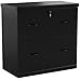 Z-Line Designs 2-Drawer Lateral File Cabinet, Black