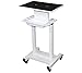 LCL Beauty Steel Frame Salon Spa Roller Trolley Cart Stand Storage Bin and Tool Implement Racks