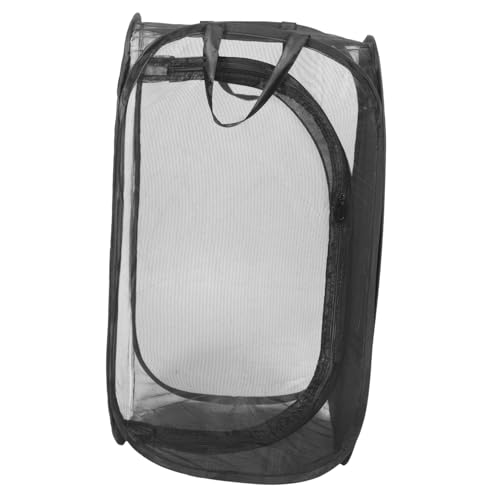 Cage à insectes pour exploration extérieure des enfants curieux de nature