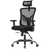 NOBLEWELL Ergonomic Office Chair, Desk Chair with 2'' Adjustable Lumbar Support, Headrest, 2D Armrest, Office Chair Backrest 135° Rocking Relaxation, Computer Chair for Home Office