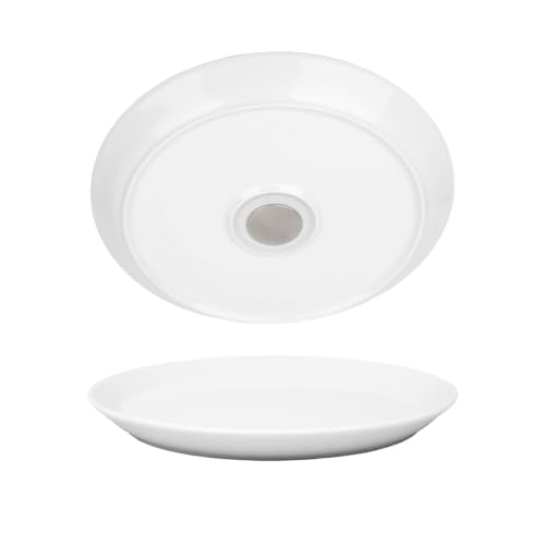 Silwy® Porcelain Magnetic Plates (Set of 2) - Perfect for...