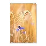 artboxONE: Der Shop für angesagte Wandbilder und moderne Designs von internationalen Künstlern für dein Zuhause | Mehr als 22.000 Motive zu verschiedenen Themen: Typografie, Fotografie, Illustrationen & mehr!