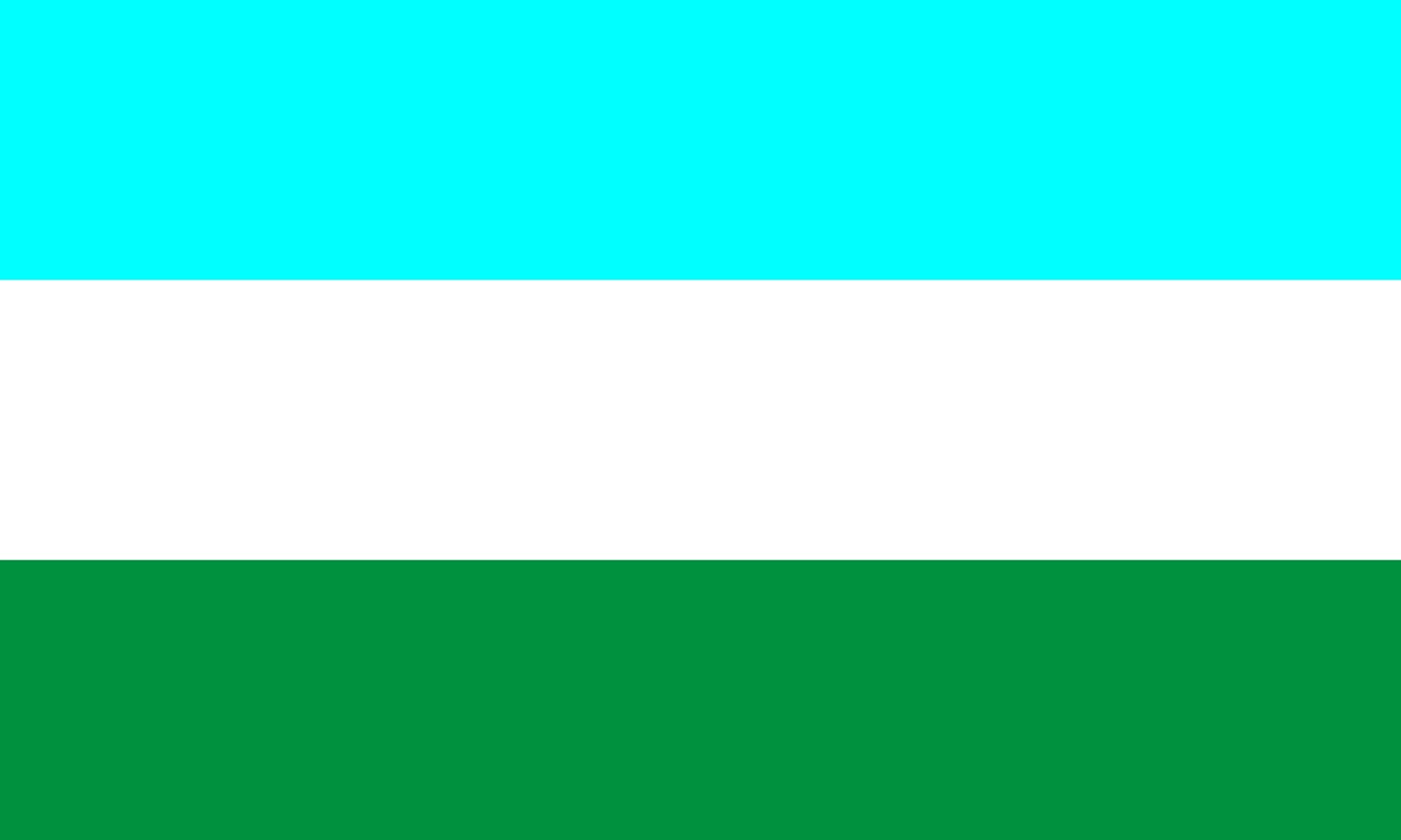 Drapeau municipal de Constanza République Dominicaine grand format en tissu