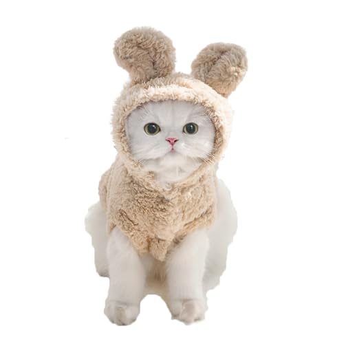 ETM̎ 킢Lm ^  ~ ^ n[lX ^  nEB wʂ̒ 19-45cm d0.5-9kg `   p[J[  p[X   wJ ybg  NX}X  _bNXth  ~ ˂̕